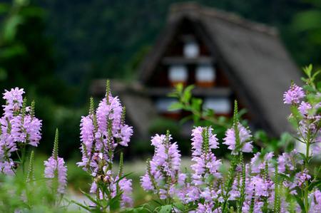 初秋の旅行シーズン ?