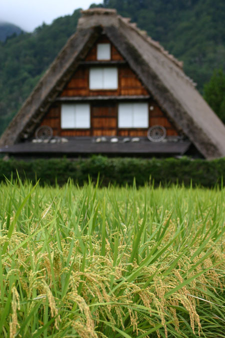 ☆９月は白川郷 ?