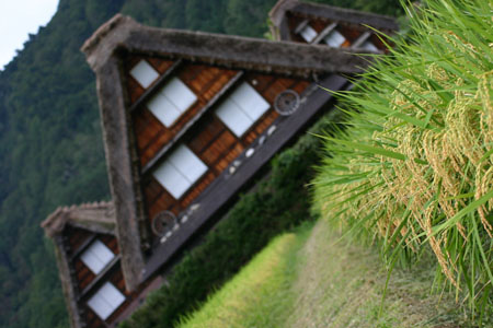 ☆９月は白川郷 ?