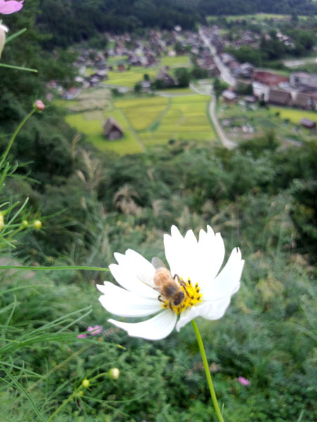 ９月最初の３連休 １