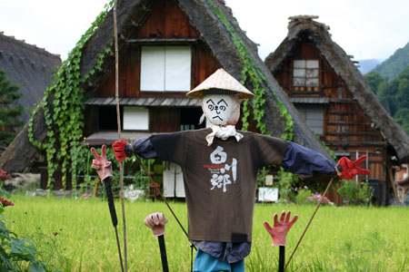 白川郷〜稲刈り〜始まる ６