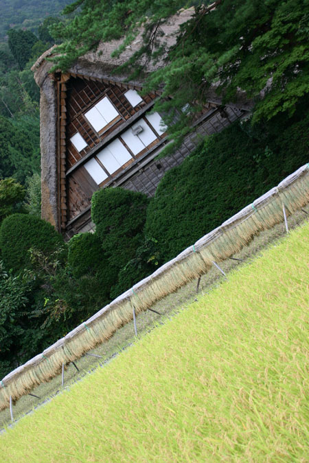 自然豊かな白川郷の地を秋の彩りを求め ７