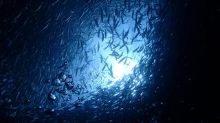 サイパンダイビング