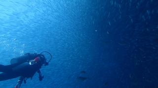 サイパンダイビング