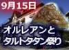ジャンヌダルクが活躍したことで知られるオルレアンの街と、年に１度開催されるタルトタタンのお祭りを訪ねる、9月15日(日)限定ツアー