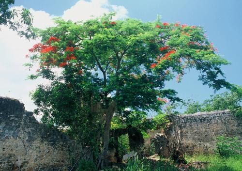 パリ・コミューンの流刑地跡