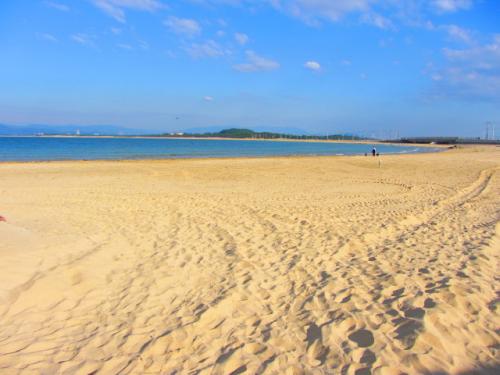 水曜どうでしょう