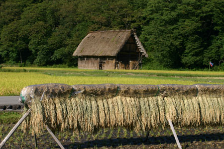 (^0_0^)p <秋色を探して>1