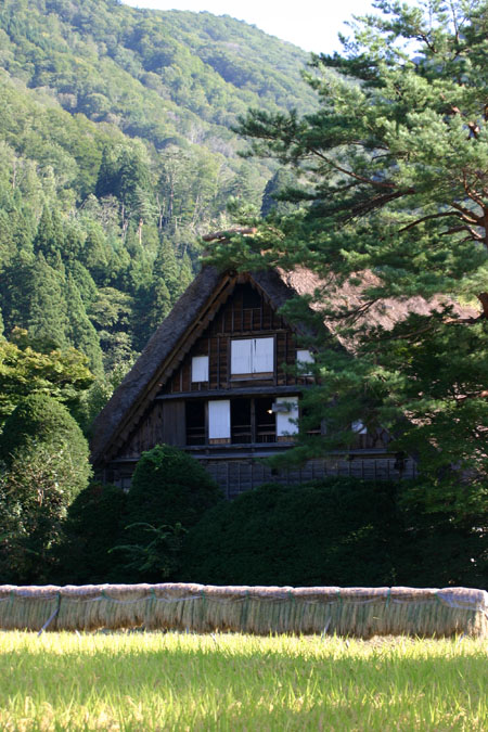 (^0_0^)p <秋色を探して>2