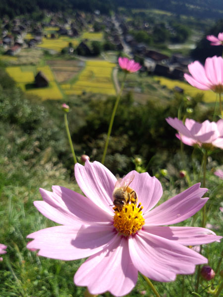 (^0_0^)p <秋色を探して>5