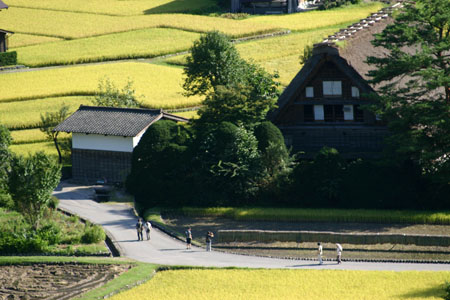 (^0_0^)p <秋色を探して>6