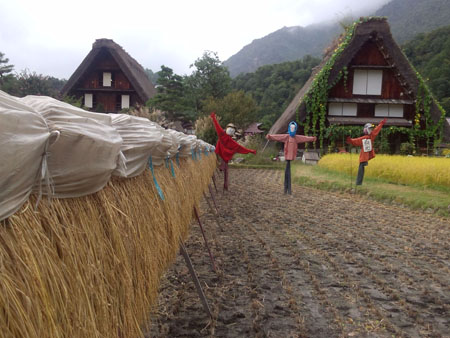 ☆秋の陽を浴びた稲架〜1
