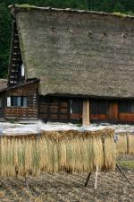 ☆秋の陽を浴びた稲架〜２