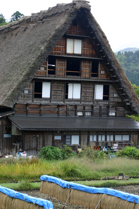 ☆秋の陽を浴びた稲架〜5