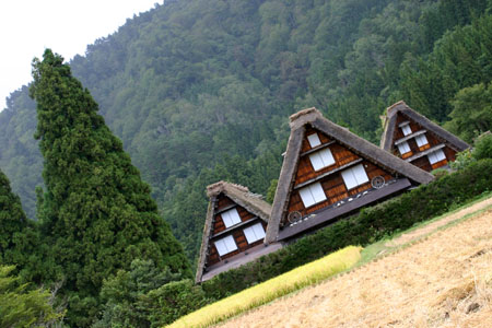 ☆秋の陽を浴びた稲架〜6