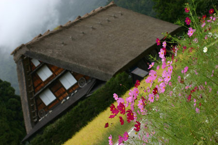 ☆秋の陽を浴びた稲架〜7