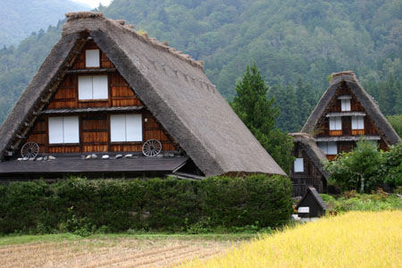 コスモスが美しく揺れる秋の白川郷 〜９
