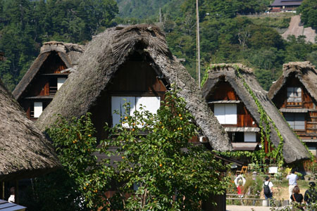 そうだ 秋の景色、見に行こう！２