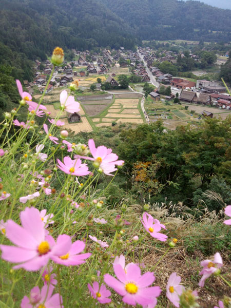 そうだ 秋の景色、見に行こう！６