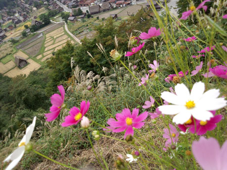 そうだ 秋の景色、見に行こう！７