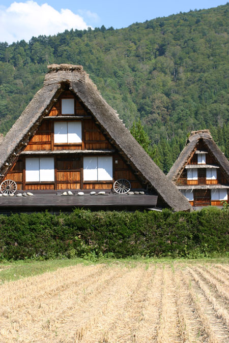 そうだ 秋の景色、見に行こう！１１