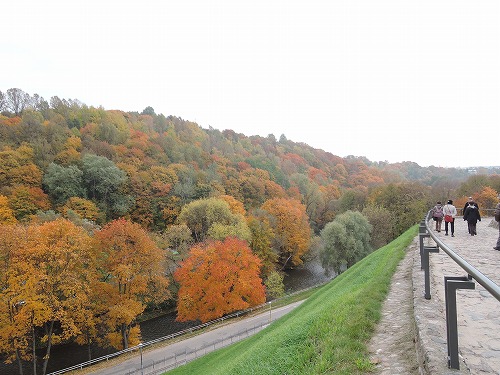 紅葉真っ盛りの山を見ながら丘を降りる