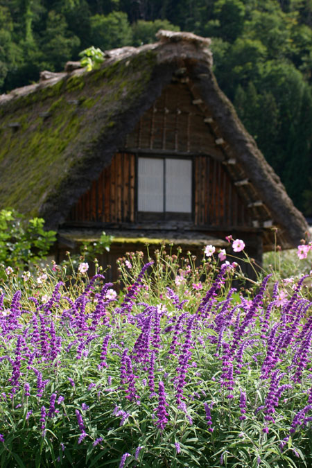 秋といえば…２