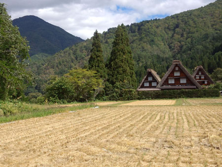 秋といえば…３