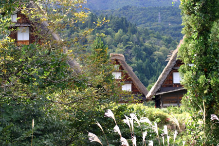 秋といえば…４