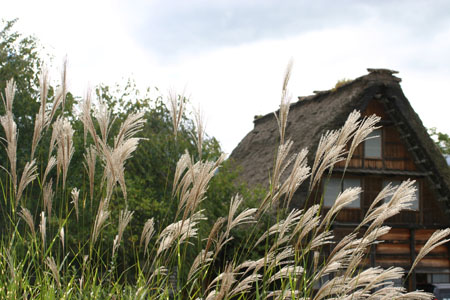 秋といえば…５