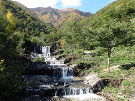 白山スーパー林道では、紅葉が見頃６