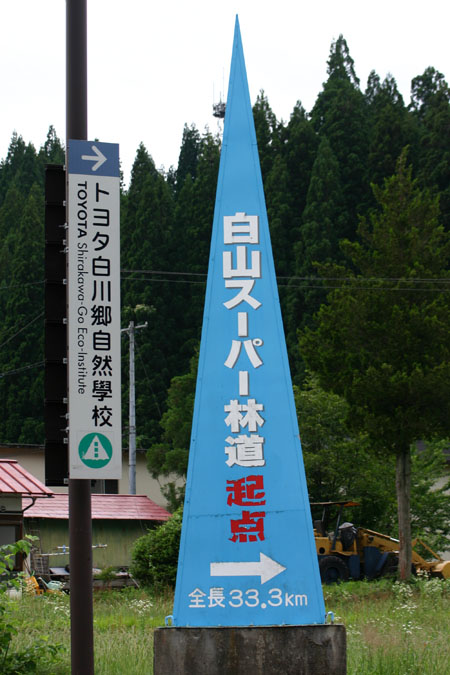 白山スーパー林道では、紅葉が見頃７