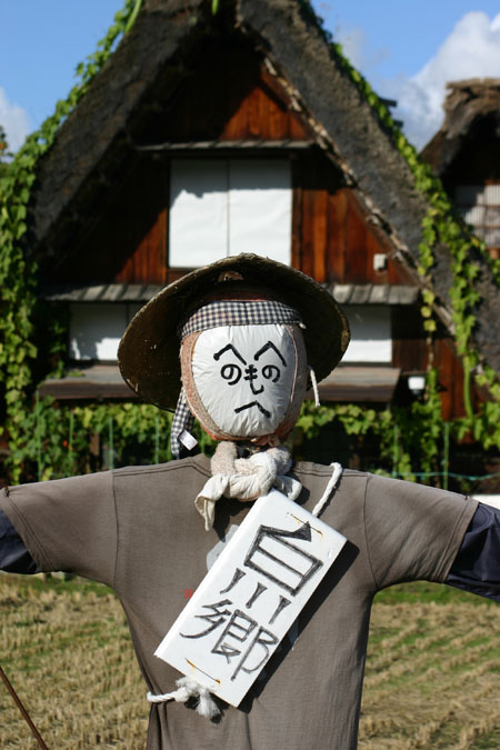 彩り鮮やか白川郷合掌造りの秋を満喫８