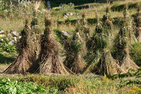 ☆白川郷の冬は早くやってくる〜 １