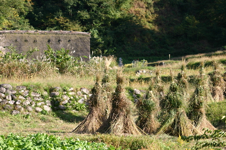 ☆白川郷の冬は早くやってくる〜 ２