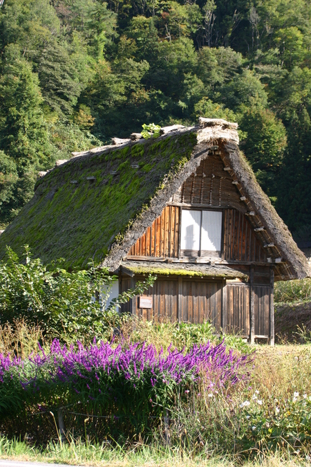 ☆白川郷の冬は早くやってくる〜 ７