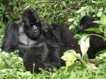 UGANDA