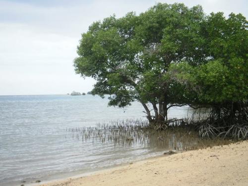 inムンジャンガン