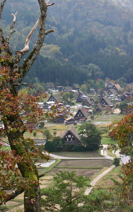 【紅葉&温泉】秋色に染まった絶景1