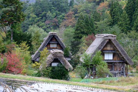 【紅葉&温泉】秋色に染まった絶景2