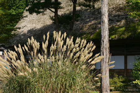 【紅葉＆温泉】秋色に染まった絶景４