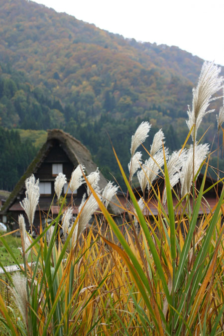 【紅葉＆温泉】秋色に染まった絶景５
