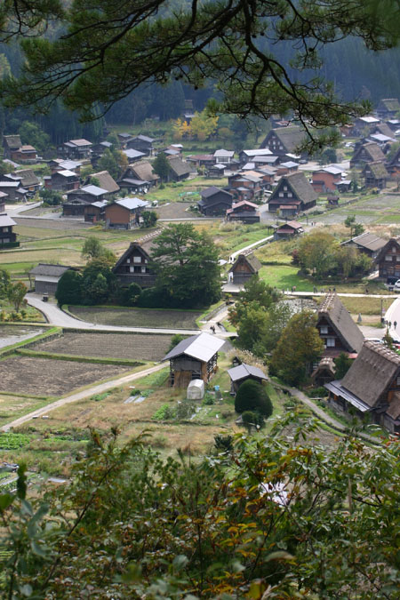 【紅葉＆温泉】秋色に染まった絶景６