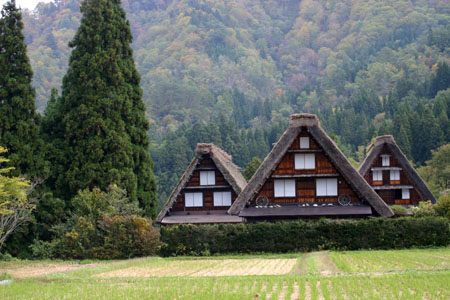 【紅葉&温泉】秋色に染まった絶景7