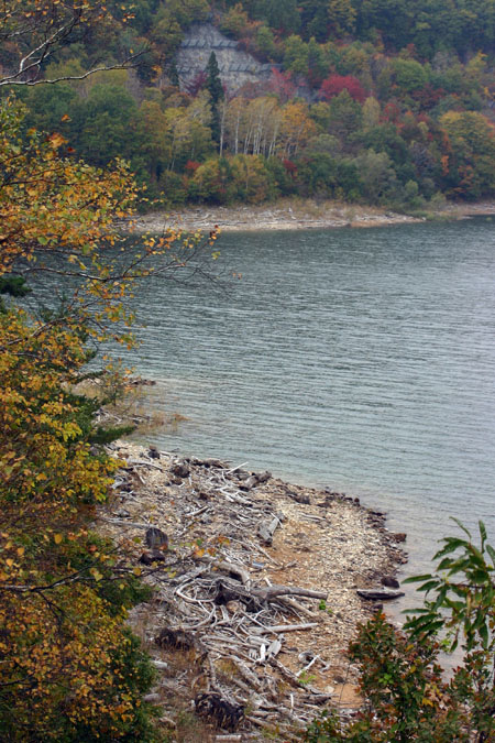 荘川桜 (御母衣ダム)8