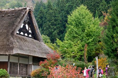 ★秋の紅葉佳境を迎える 〜1