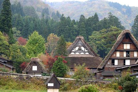 ★秋の紅葉佳境を迎える 〜３