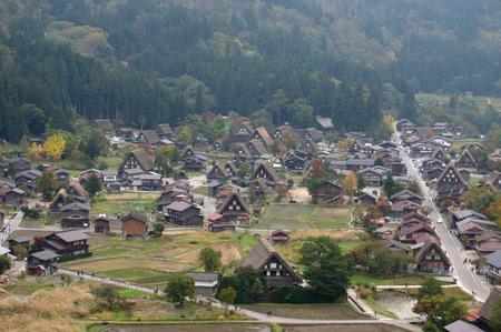 ★秋の紅葉佳境を迎える 〜5