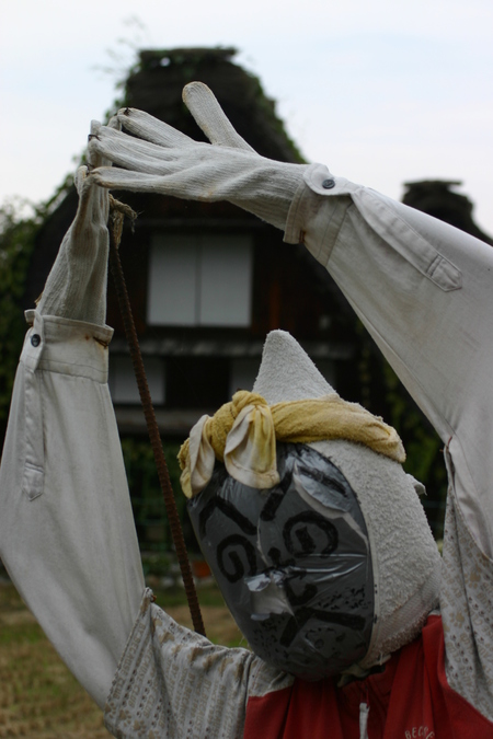 ★秋の紅葉佳境を迎える 〜７