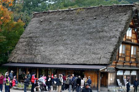 ★秋の紅葉佳境を迎える 〜11